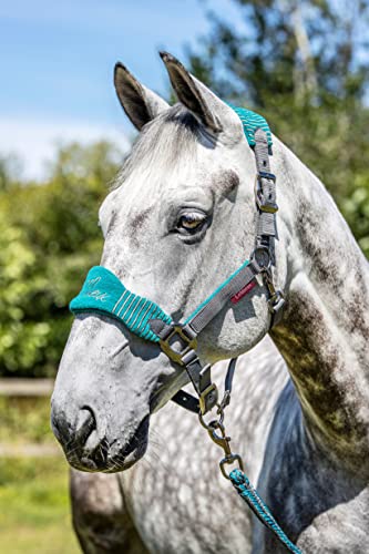 LeMieux Vogue Fleece Headcollar and Leadrope Cabecera, Unisex, Pavo Real/Gris, Plein