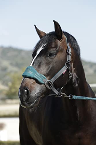 LeMieux Vogue Fleece Headcollar and Leadrope Cabecera, Unisex, Pavo Real/Gris, Plein