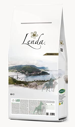 Lenda Cordero - Alimento Completo de Cordero para Perros Adultos con Problemas Digestivos e Intolerancias | Complementada con Aceite de Salmón [6kg]