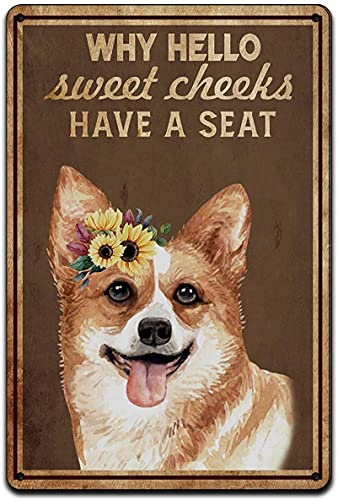 Letreros de metal para perro con texto en inglés "Why Hello Sweet Cheeks Have A Seeks Have A Seeks Vintage Decor Bar Pub Man Cave Cat Club" Novedad divertido baño 8x12 pulgadas