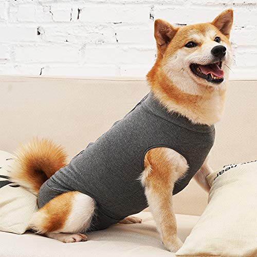 LIANZIMAU Traje Recuperacion Perro Body Quirurgico Cono E Collar Alternativo Abdominal Heridas y Protector Después de la Cirugía Desgaste Body Postoperatorio Perro Ropa para