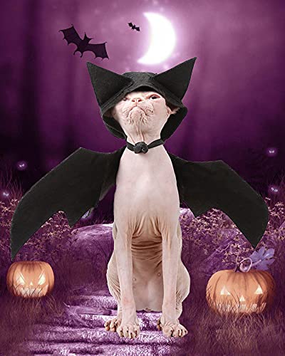 LIBRNTY Alas de Perro, Disfraz de Perro de murciélago de Halloween/Disfraces de Halloween para Mascotas para Perros medianos Grandes decoración de Cosplay