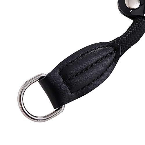 lionto Collar de perros collar retriever collar de adiestramiento 40 cm Ø 0,8 cm Negro