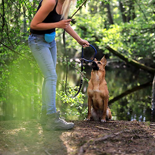 lionto Collar de perros collar retriever collar de adiestramiento 45 cm Ø 1 cm Azul