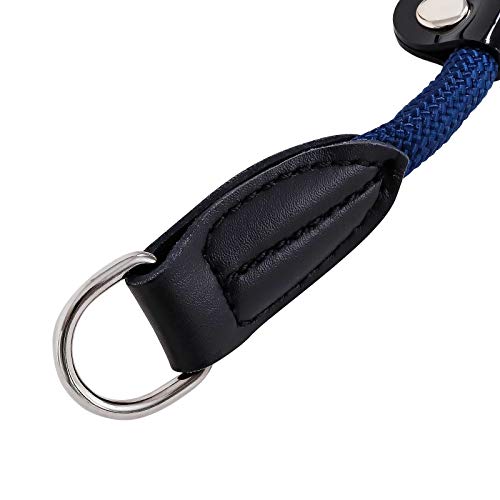 lionto Collar de perros collar retriever collar de adiestramiento 45 cm Ø 1 cm Azul