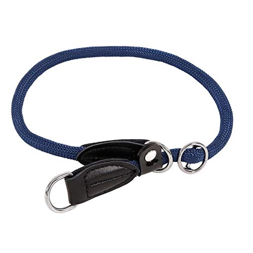 lionto Collar de perros collar retriever collar de adiestramiento 45 cm Ø 1 cm Azul