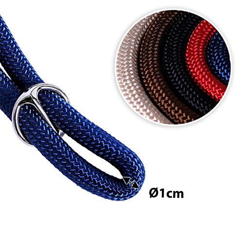 lionto Collar de perros collar retriever collar de adiestramiento 45 cm Ø 1 cm Azul