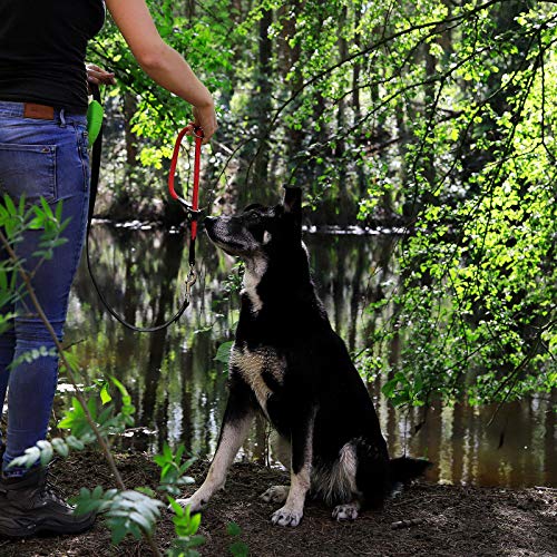 lionto Collar de perros collar retriever collar de adiestramiento 65 cm Ø 1 cm Rojo