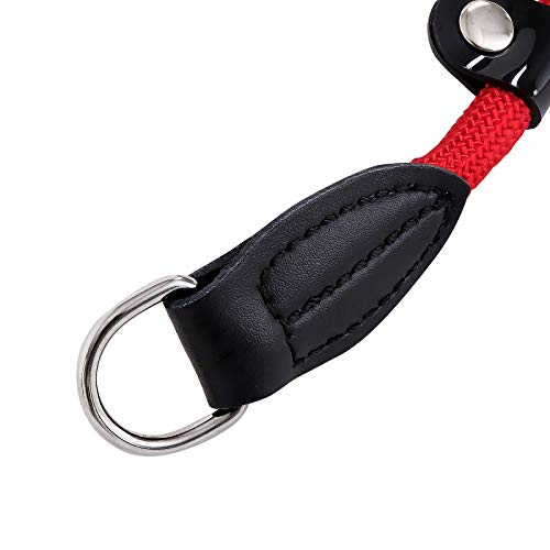 lionto Collar de perros collar retriever collar de adiestramiento 65 cm Ø 1 cm Rojo