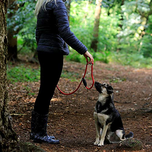 lionto Correa Retriever correa de perro correa de entrenamiento longitud 120 cm Rojo