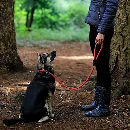 lionto Correa Retriever correa de perro correa de entrenamiento longitud 120 cm Rojo