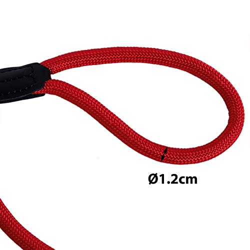 lionto Correa Retriever correa de perro correa de entrenamiento longitud 120 cm Rojo