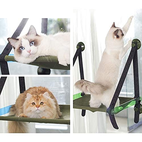 LITINGT Hamacas Ventana, Asiento de Ventana para Gatos, Ventana de Asiento Soleado Perchas para Gatos 4 ventosas Grandes Que soportan 14 kg, Ahorro de Espacio y Cama para Gatos montada de Forma segu