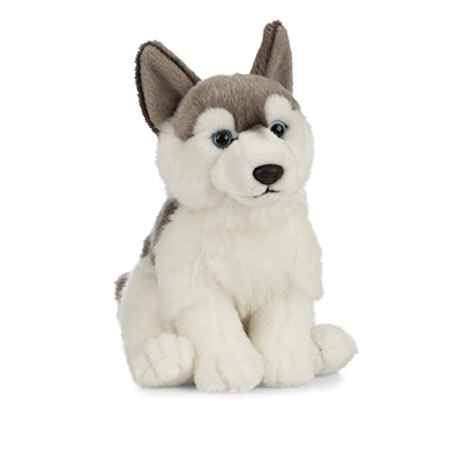 Living Nature AN461 - Peluche para Mascotas Husky