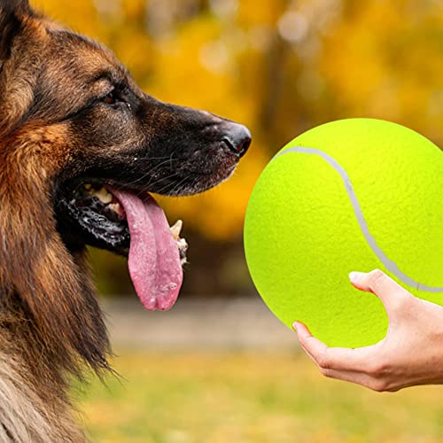 Lixada Pelota de Tenis Grande 9.5in/23cm para Niños Adultos Mascotas