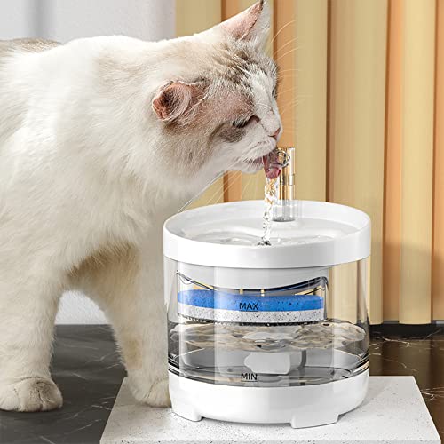 LIZHOUMIL Fuente de Agua Inteligente de 160ml y 3 Modos de Flujo, Cuerpo Transparente, Seguro, sin Fugas Agua Potable silenciosa para Gatos y Perros Edición básica [sin Enchufe] Linea USB