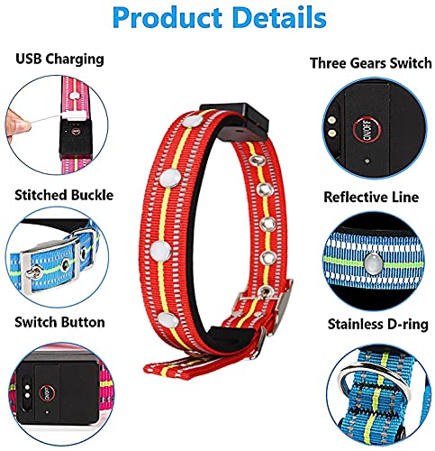 LKJYBG Collar luminoso LED para perro, recargable por USB, impermeable, tres modos de iluminación, adecuado para perros grandes, medianos y pequeños, rojo, M