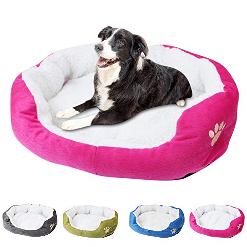 llasm Camas para Gatos Cama Perro Pequeño Lavable Antideslizante Camas Perros Medianos Cama Perro Pequeño Lavable para Duerme Tranquilo Buena Experiencia De Sueño Rose Red,50 * 40cm