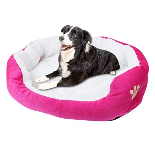 llasm Camas para Gatos Cama Perro Pequeño Lavable Antideslizante Camas Perros Medianos Cama Perro Pequeño Lavable para Duerme Tranquilo Buena Experiencia De Sueño Rose Red,50 * 40cm