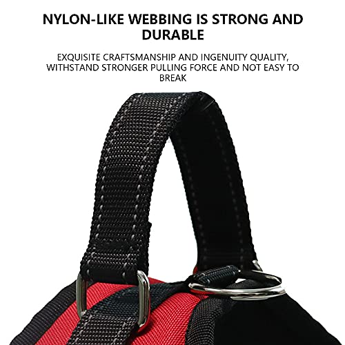 LLIU Arnés para perro sin tirar, transpirable, suave y ajustable, resistente y acogedor arnés para perro con acolchado de malla para perros pequeños y medianos