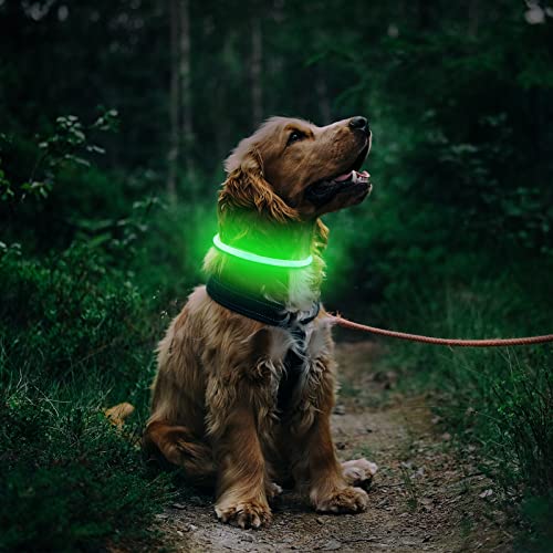 LMLMD Luminoso Collar Perro de Mascota LED, Ajustable Recargable 3 Modos, Collares LED para Perros Pequeños/Medianos/Grandes, Verde