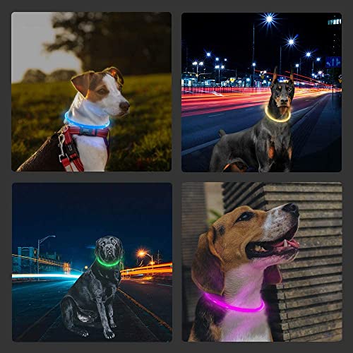 LMLMD Luminoso Collar Perro de Mascota LED, Ajustable Recargable 3 Modos, Collares LED para Perros Pequeños/Medianos/Grandes, Verde