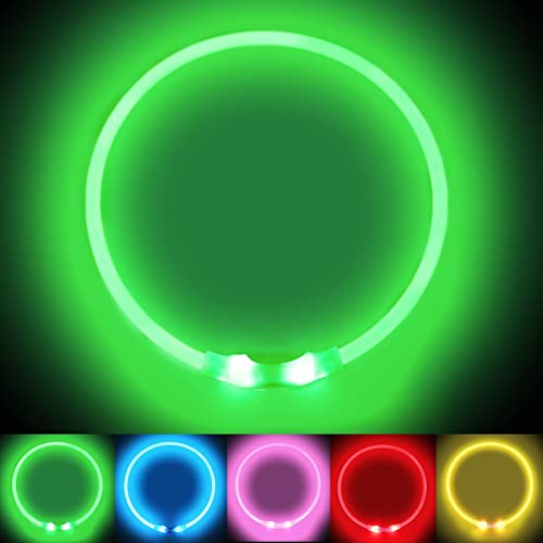 LMLMD Luminoso Collar Perro de Mascota LED, Ajustable Recargable 3 Modos, Collares LED para Perros Pequeños/Medianos/Grandes, Verde