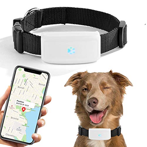 Localizador GPS para Perros y Gatos,Rastreador GPS Tiempo Real Localizador de Dispositivos Historial de Ruta Impermeable App Gratuita