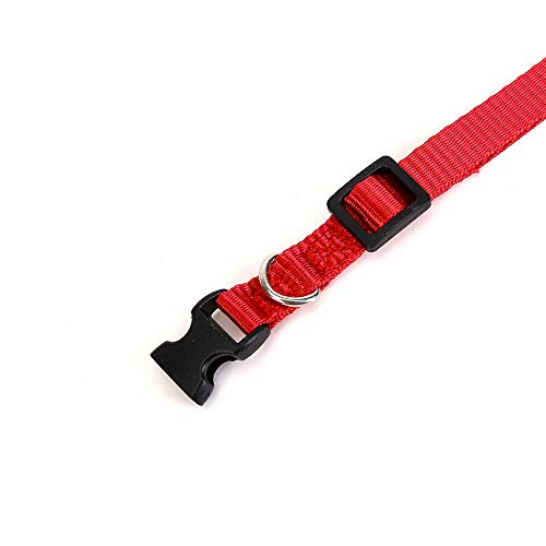 LOMYLM 15 collares para cachorros ajustables de 17,5 cm a 26 cm, collares para perros pequeños, collares de nailon para cachorros recién nacidos a 10 semanas de edad, 15 colores