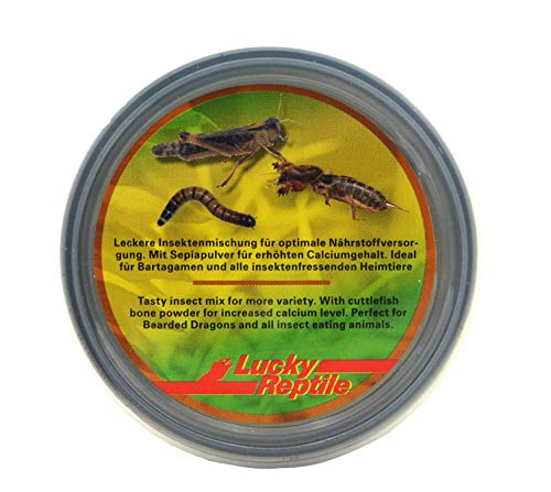 Lucky Reptile Herp Diner Dragón Barbudo 70g