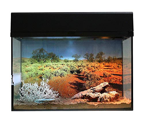 Lucky Reptile Kit de iniciación de 50 cm Desierto, Color Negro, Juego Completo de terrario para Geckos pequeños