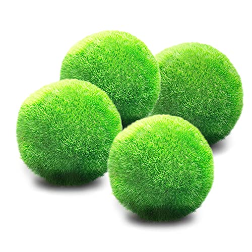 Luffy Medium Marimo Moss Balls, 1 pulgada, plantas vivas para mascotas acuáticas, bajo mantenimiento, 4 bolas por paquete