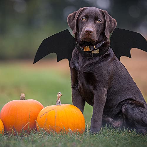 LUKIUP® Ropa para Mascotas Murciélago Halloween, Tamaño Cuello 24-36cm Alas Murciélago Perros y Gatos, Disfraz Perro Alas Halloween, Apto para Perros y Gatos Pequeños y Medianos Party Ropa de Cosplay