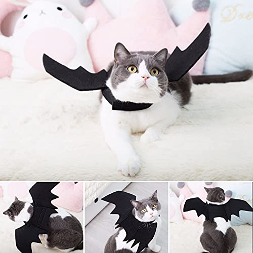 LUKIUP® Ropa para Mascotas Murciélago Halloween, Tamaño Cuello 24-36cm Alas Murciélago Perros y Gatos, Disfraz Perro Alas Halloween, Apto para Perros y Gatos Pequeños y Medianos Party Ropa de Cosplay