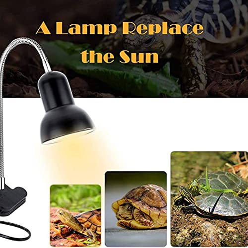 Luz de Calor para Tortugas,Lámpara de Calentamiento de Reptiles Temperatura Ajustable 220V Luz de Calor para Tortuga, Lagartos, Serpientes, Camaleones