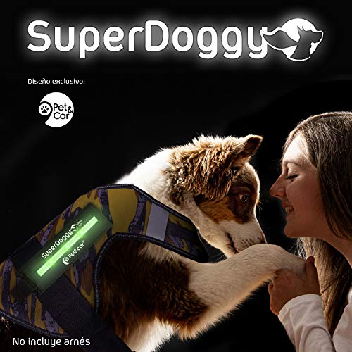 Luz led para Perro con Tres Modos de iluminación para Noche. Parche de Velcro Luminoso y Recargable USB.