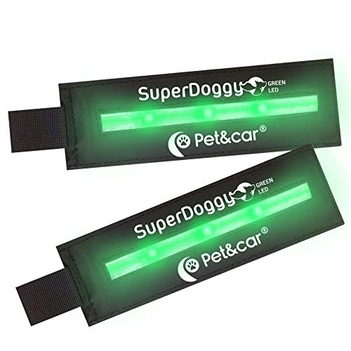 Luz led para Perro con Tres Modos de iluminación para Noche. Parche de Velcro Luminoso y Recargable USB.