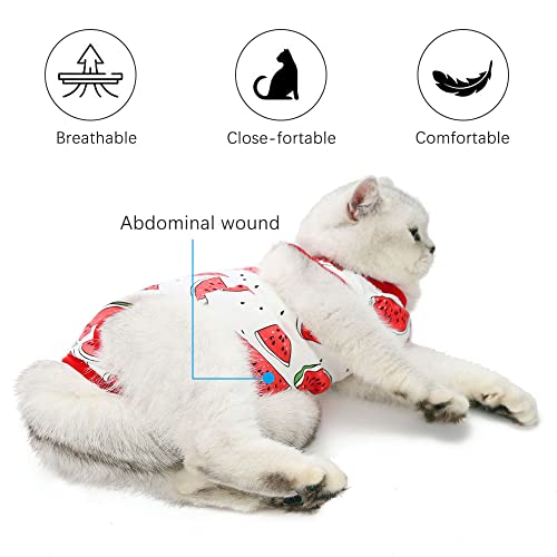 LxwSin Traje de Recuperación para Gato, Chaleco de Recuperación para Gato, Traje de Recuperación de Gato Transpirable de Algodón Antilamido para Gatos, Perros, Recuperación de Heridas, Destete (M, L)