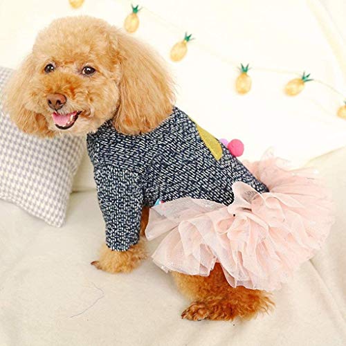 LYP Abrigo para Perros Ropa para Perros Mascotas Ropa de Mascota de Invierno Ropa de Perros Mascotas Tela suéter Vestido Smoking (Size : XS)