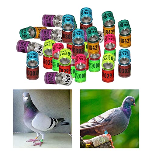 MagiDeal 100 Unids 2022 Aluminio Bird Dove Racing Pigeon Pierna Anillos Bandas numeradas Elegir - Mezcla