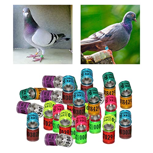 MagiDeal 100 Unids 2022 Aluminio Bird Dove Racing Pigeon Pierna Anillos Bandas numeradas Elegir - Mezcla