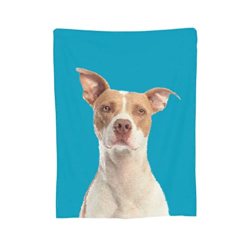 Manta personalizada para fotos de mascotas, manta con imagen de perro y gato, manta de franela, ropa de cama de felpa, siesta,manta de viaje, cumpleaños, boda, día de la madre, regalo para amante,mamá