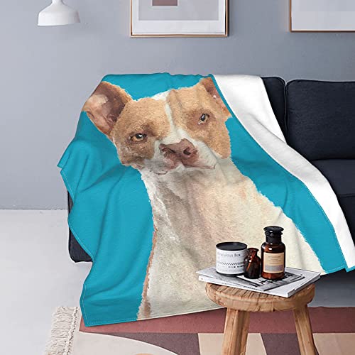 Manta personalizada para fotos de mascotas, manta con imagen de perro y gato, manta de franela, ropa de cama de felpa, siesta,manta de viaje, cumpleaños, boda, día de la madre, regalo para amante,mamá