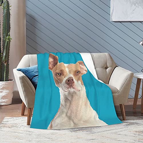 Manta personalizada para fotos de mascotas, manta con imagen de perro y gato, manta de franela, ropa de cama de felpa, siesta,manta de viaje, cumpleaños, boda, día de la madre, regalo para amante,mamá