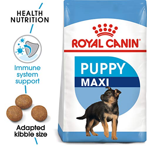 marque+generique Royal canin – Royal Canin Maxi Junior Contenances: 1 kg