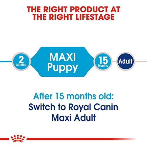 marque+generique Royal canin – Royal Canin Maxi Junior Contenances: 1 kg