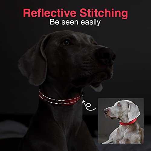 MASBRILL Collar de Perro Duradero y Reflectante, Ajustable Collar para Perros Grandes o Pequeños, Fabricado de Nylon con Suave Acolchado (Rojo M)