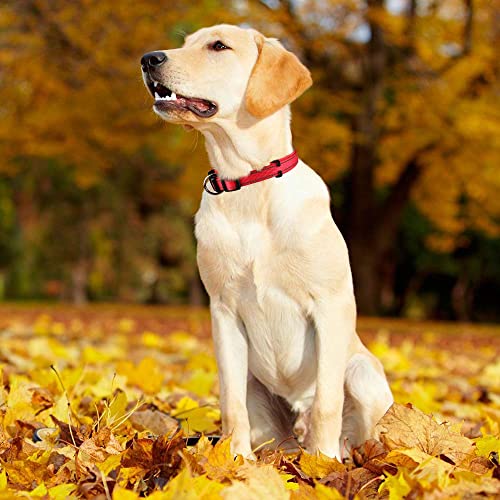 MASBRILL Collar de Perro Duradero y Reflectante, Ajustable Collar para Perros Grandes o Pequeños, Fabricado de Nylon con Suave Acolchado (Rojo M)