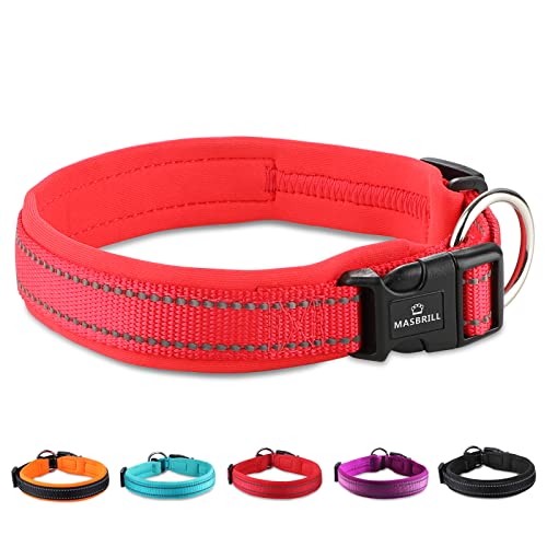 MASBRILL Collar de Perro Duradero y Reflectante, Ajustable Collar para Perros Grandes o Pequeños, Fabricado de Nylon con Suave Acolchado (Rojo M)