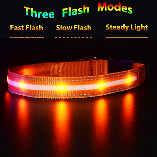 MASBRILL Collar de Perro Luz LED, 3 Modos Collar Perro Luminoso con Recargable y Impermeable, Collar de Perro de Destello Ajustable para Perros Pequeños/Medianos/Grandes(Naranja M)